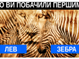 Перевірте себе! Психологічний тест у картинці розповість, як ви ставитесь до проблем у житті