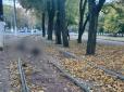 В Одесі собака затягнув господаря під колеса трамваю (фото)