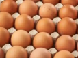 Ви більше не ламатимете голову над цим питанням: Чи потрібно мити яйця перед приготуванням