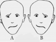 Визначте свій тип особистості: Оптична ілюзія покаже ваші головні риси