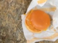 Чоловік був шокований станом чизбургера, загубленого у машині на декілька років (відео)