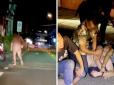 Ходив вулицями міста та кидався на людей: У Таїланді скрутили голого росіянина (відео)