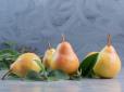 Що станеться, якщо кожного дня їсти груші: Дослідження вчених показали приголомшливі результати