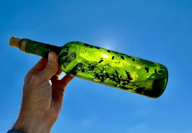 Категорично не можна відкривати: у США на берег масово вимиває "відьмині пляшки"