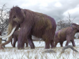 Справжній прорив: Вчені планують через 5 років оживити мамонтів з Льодовикового періоду