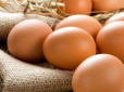 Не робіть помилок! ТОП-5 продуктів, які не можна поєднувати з яйцями - дехто робить це кожного дня