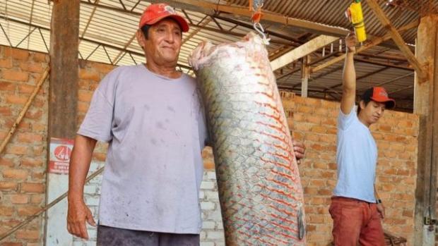 Guillermo Otto Parum with a paiche