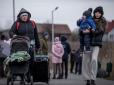 Повернулися додому: Спливла несподівана статистика виїзду біженців з України за кордон у 2023