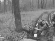 Українська розвідка здійснила спецоперацію під Бєлгородом: Росіяни підірвалися на мінах, атаковано взводний опорний пункт (відео)