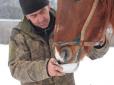 Пив чай із окупантами: Бізнесмен із Харківщини кинув породистих коней напризволяще й втік до Росії (відео)