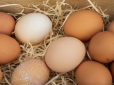 Коричневі vs білі: Які яйця найкраще купувати додому