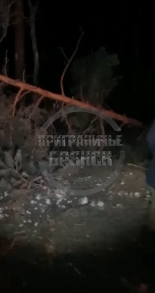Брянська область, атака 17 січня, Точка-У