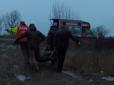 От така жертва війни: У Київській області на російській міні-розтяжці підірвався лось