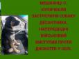 Чотирилапий повернувся з фронту разом із власником: На Львівщині застрелили собаку військового (фото)
