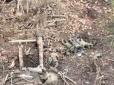 Як четверо українців розбили два відділення окупантів, - військкор Цаплієнко (відео)