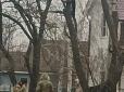 Нове слово в ухиленні від мобілізації: На Одещині чоловік заліз на дерево, щоб врятуватися від ТЦК