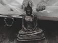 Розплата була швидка: У Таїланді чоловіка, що влаштував погром у храмі, проштрикнула статуя Будди