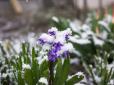 Зима повертається? Синоптики пророкують українцям нічні морози та мокрий сніг найближчими днями