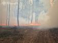 Окупанти обстріляли Куп'янський район, виникла масштабна лісова пожежа (фото)