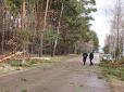 Моторошна трагедія: На Чернігівщині дерево впало на авто, загинуло двоє людей