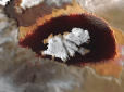 NASA опридюднило унікальне відео лавового озера на супутнику Юпітера