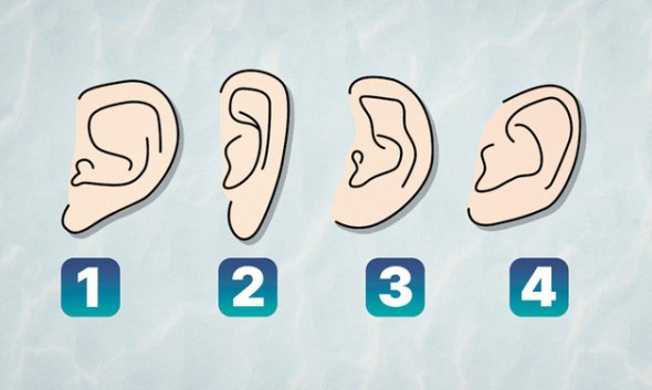 По формі вух можна визначити риси характеру