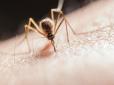 Ситуація дуже серйозна: У Гондурасі оголосили надзвичайний стан через... комарів