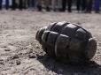 Місцеві переплутали з обстрілом окупантів: На Харківщині чоловік закидав гранатами дачне селище