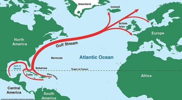 Гольфстрім — це сильна течія, яка несе теплу воду з тропіків до узбережжя Північної Америки, через Атлантику в Європу