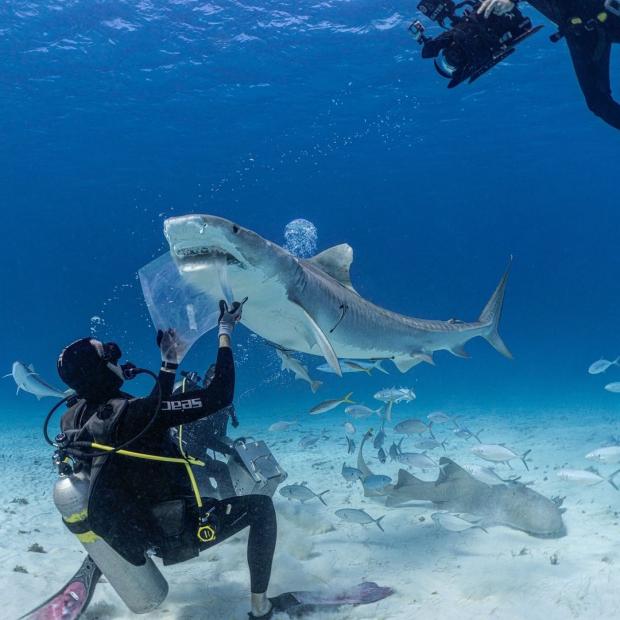 Експеримент Росса Еджлі / Фото: instagram.com/rossedgley / © 