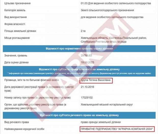 Названо політика, який є бізнес-партнером скандальної глави хмельницького МСЕК фото 2