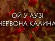 Наводить жах на окупантів: У Сімферополі лікаря заарештували за рінгтон 