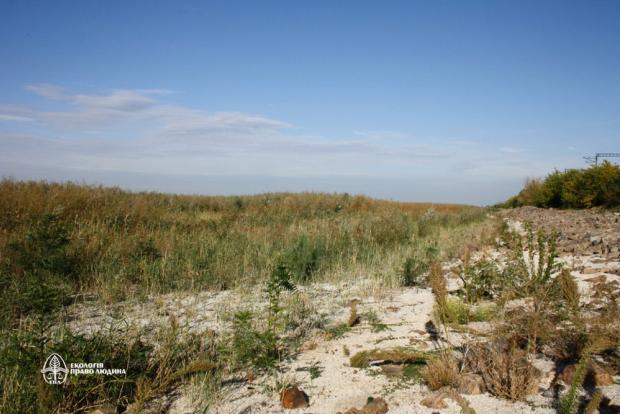 Відновлення рослинності на дні колишнього Каховського водосховища в Запорізькій області, середина жовтня 2024 р