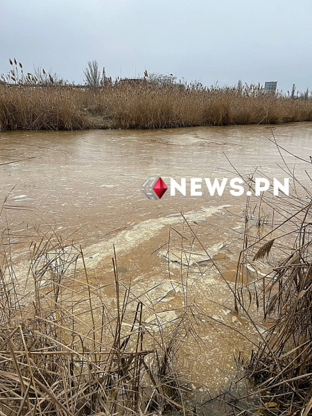 Південний Буг, олія в Південному Бузі