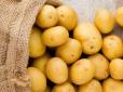 А ви це знали? Названо найшкідливіший спосіб приготування картоплі