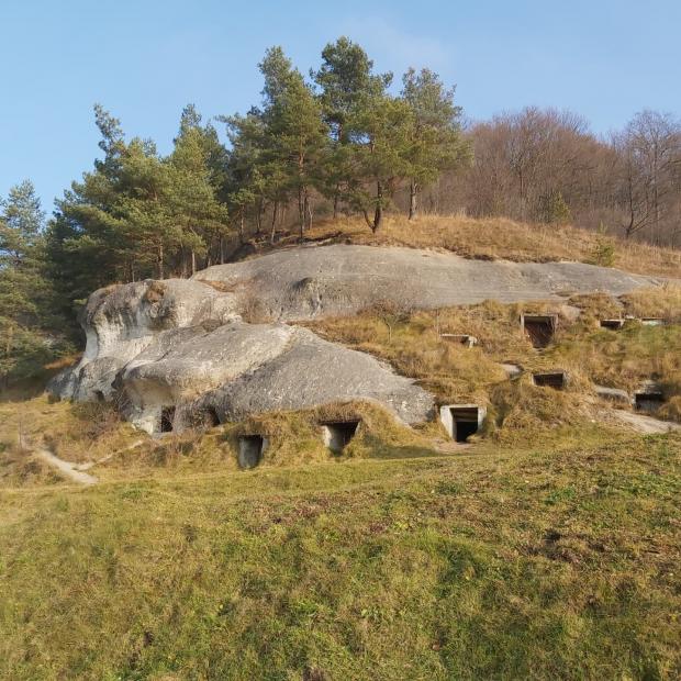 Стільське городище (фото: Вікіпедія)