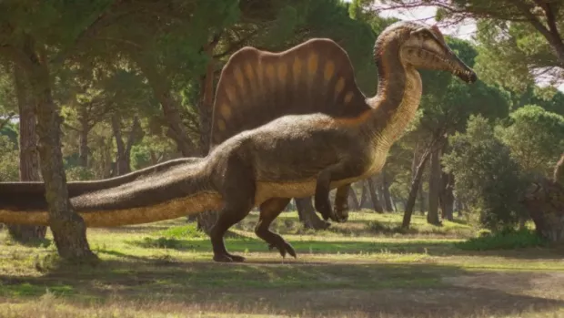 Відійди вбік, T. rex. Настав час сяяти Спінозавру.<p data-verified=
