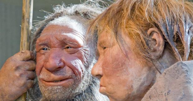 Неандертальці змішувались з Homo sapiens, й інколи давали життєздатне потомство