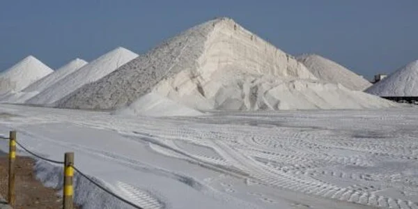 На Долинському родовищі планується відновити видобуток солі