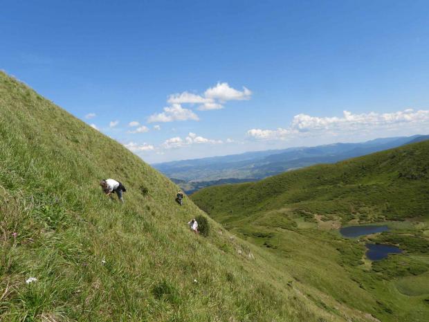 тут і далі фото Карпатського біосферного заповідника