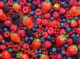 Біда, звідки не чекали: В Україні втрачено половину врожаю ягід - названо причину