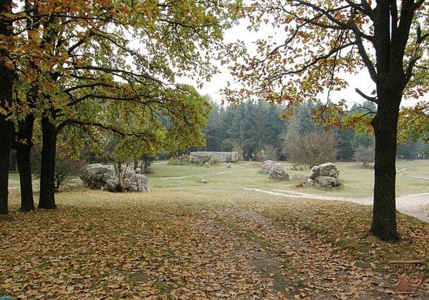 Ставка Гітлера «Вервольф». / © Вінницький обласний краєзнавчий музей