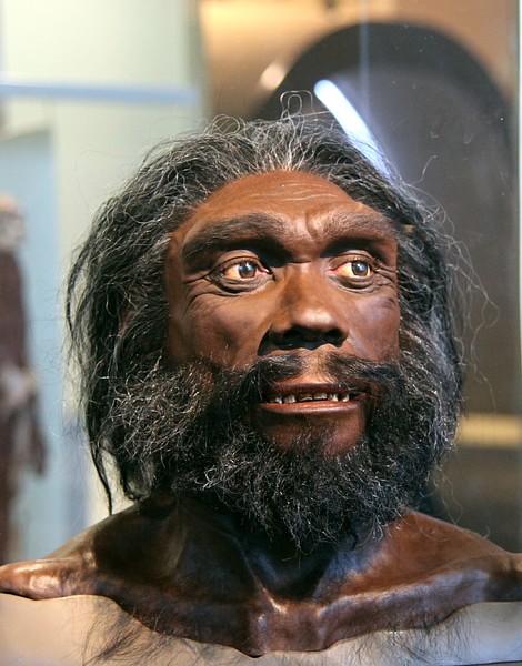 Homo heidelbergensis міг спричинити справжню технічну революцію кам'яної доби