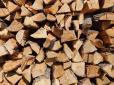 Не всі дрова однакові: Які обирати, щоб взимку було тепло