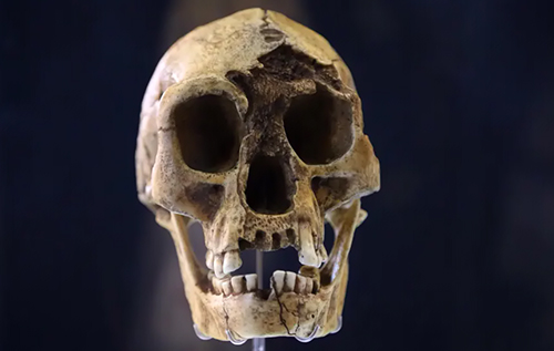 Учені розповіли, чому вимерли "гобіти"