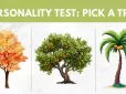 Перевірте себе! Яке дерево оберете? Простий тест покаже ваш прихований талант