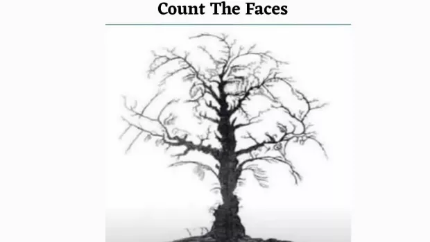 https://img.jagranjosh.com/images/2025/June/462025/Count-The-Faces.webp
