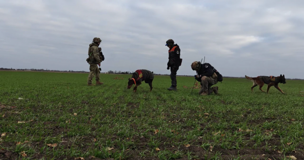 Павлоградський пошуково-рятувальний кінологічний загін Антарєс