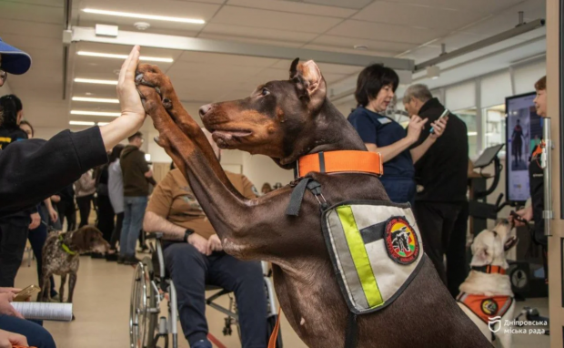 Дніпровська міська рада