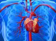 ТОП-6 ранніх симптомів аневризми аорти, які не можна ігнорувати
